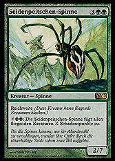 Seidenpeitschen-Spinne