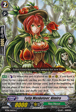 Tulip Musketeer, Almira