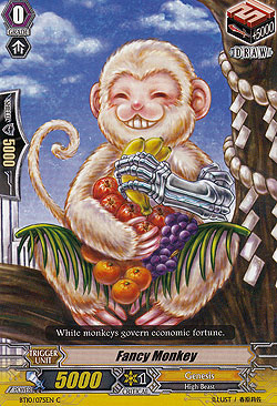 Fancy Monkey