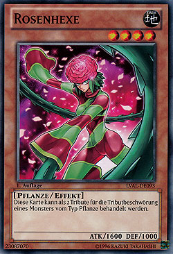 Rosenhexe
