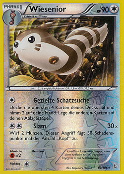 Wiesenior Wiesenior