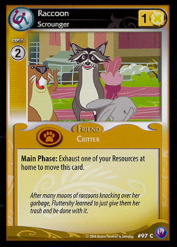 Raccoon - Scrounger