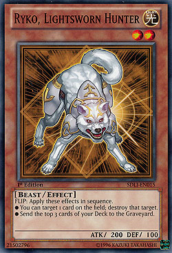 Ryko, Lightsworn Hunter