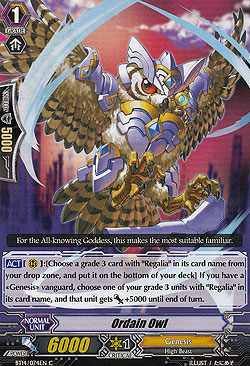 Ordain Owl