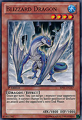 Blizzard Dragon