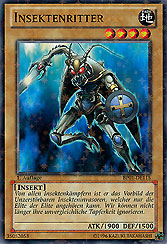 Insektenritter