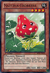 Naturia-Erdbeere