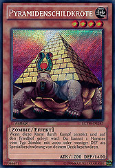 Pyramidenschildkröte