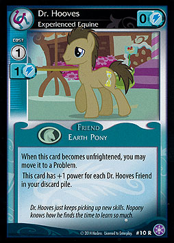 Dr. Hooves - Experienced Equine