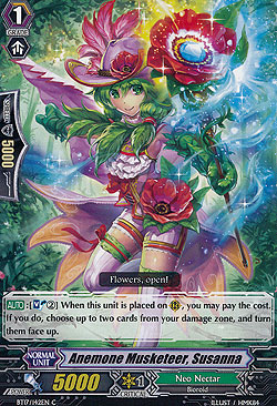 Anemone Musketeer, Susanna