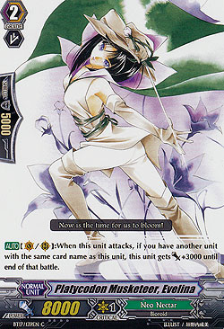 Platycodon Musketeer, Evelina