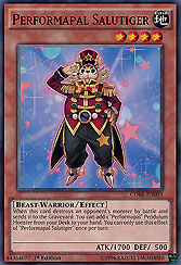 Performapal Salutiger