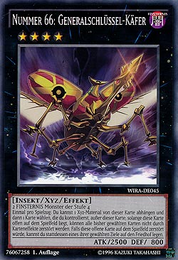 Nummer 66: Generalschlüssel-Käfer