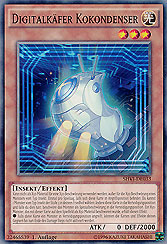 Digitalkäfer Kokondenser