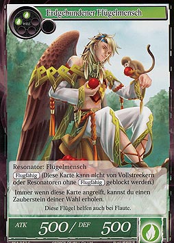 Erdgebundener Flügelmensch