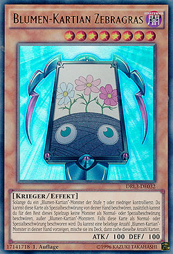 Blumen-Kartian Zebragras