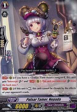 Pulsar Tamer, Nepada