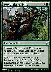 Koordinierter Schlag