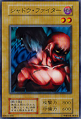 Shadow Fighter