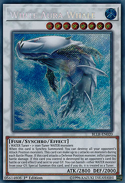 White Aura Whale