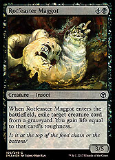 Rotfeaster Maggot