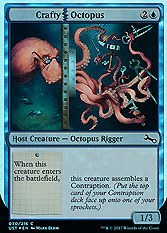Crafty Octopus