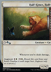 Half-Kitten