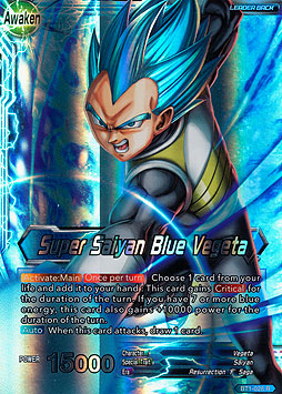 Vegeta // Super Saiyan Blue Vegeta 