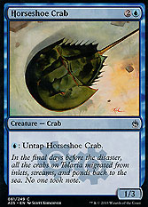 Horseshoe Crab