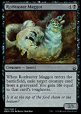 Rotfeaster Maggot