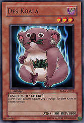 Des Koala