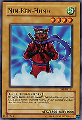 Nin-Ken-Hund