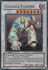 Colossal Fighter