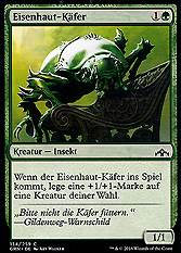 Eisenhaut-Käfer