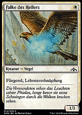 Falke des Heilers