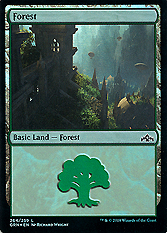 Forest