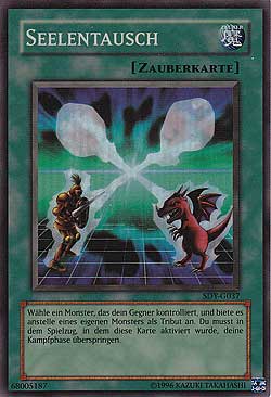 Seelentausch