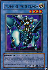 Paladin of White Dragon