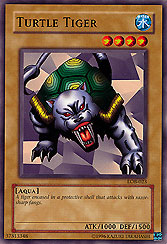 Turtle Tiger