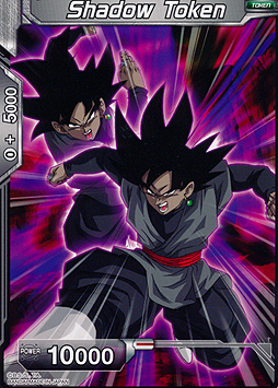 Shadow Token