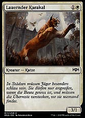 Lauernder Karakal