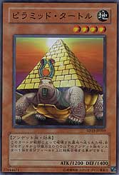 Pyramid Turtle