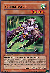 Schallraser