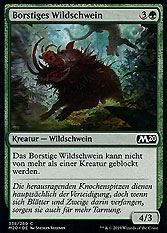 Borstiges Wildschwein