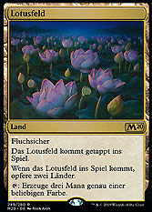 Lotusfeld