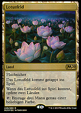Lotusfeld