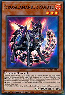 Grosalamander Kojote