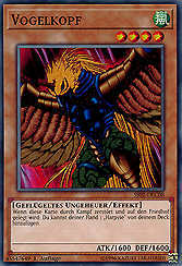Vogelkopf