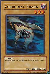 Corroding Shark