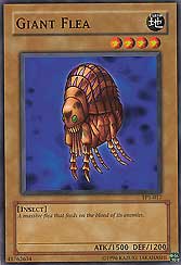 Giant Flea